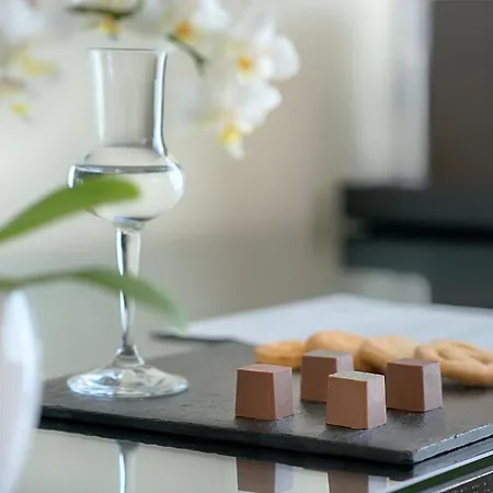 Savhotel Mantegna 4* 파도바